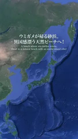Okinawa Walker | 沖縄の魅力を世界へのTikTok投稿