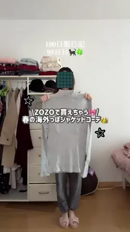 きじとら🐈🎀のTikTok投稿