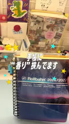 amu.ᐟ 📖✍︎꙳⋆のTikTok投稿