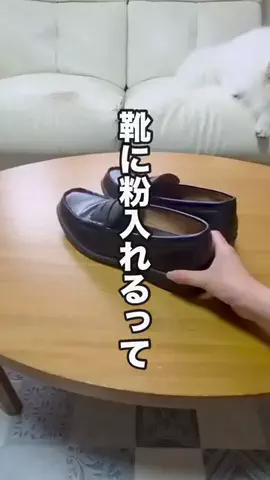 katsu._kurashiのTikTok投稿