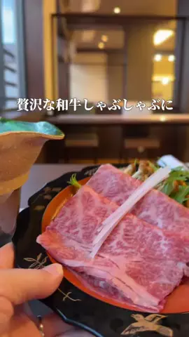 みさ |  ゆったり大人の休日旅のTikTok投稿