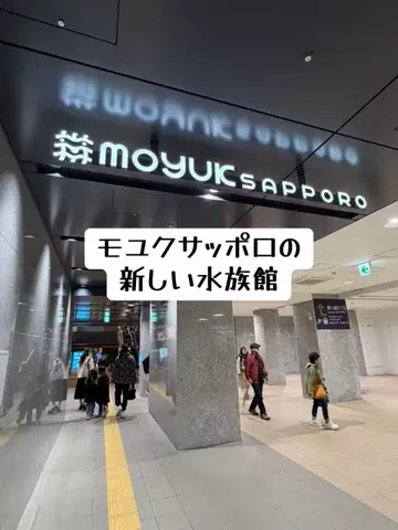EXPOくまさんのTikTok投稿