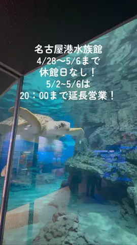 なのは｜名古屋おでかけ女子のTikTok投稿