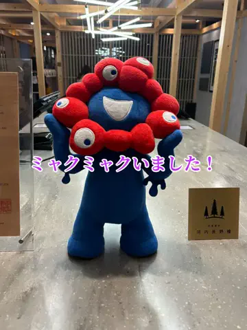 EXPOくまさんのTikTok投稿