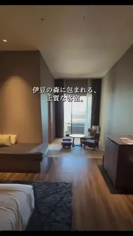 一度は行きたい極上ホテルのTikTok投稿