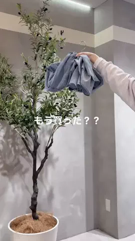 _._nishitomoのTikTok投稿