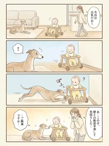 都内のチワワのTikTok投稿