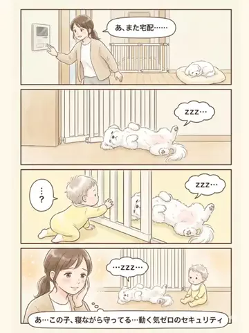 都内のチワワのTikTok投稿