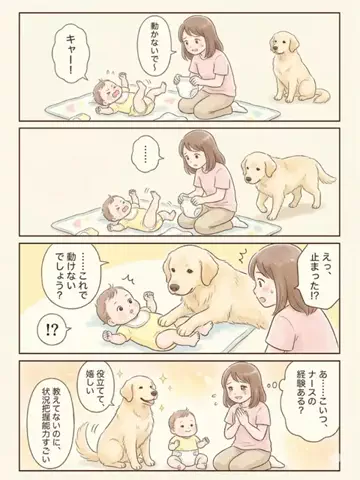 都内のチワワのTikTok投稿