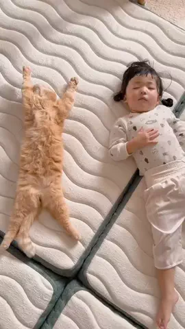 ひなまる色のTikTok投稿