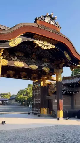🍡おだんごjourney🍡のTikTok投稿