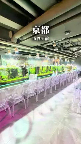 まえすけ｜大阪カフェ・大阪グルメ・関西おでかけデートのTikTok投稿