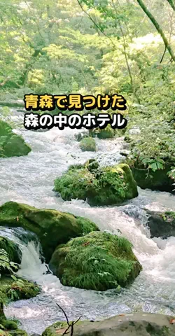おじさんのTikTok投稿
