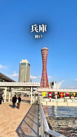 まえすけ｜大阪カフェ・大阪グルメ・関西おでかけデートのTikTok投稿