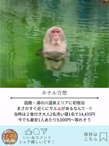 🍡おだんごjourney🍡のTikTok投稿