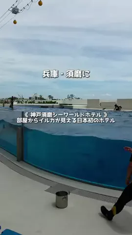 アーク🐐のTikTok投稿