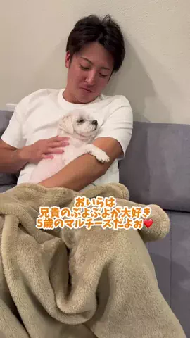 ツバサの休み時間のTikTok投稿