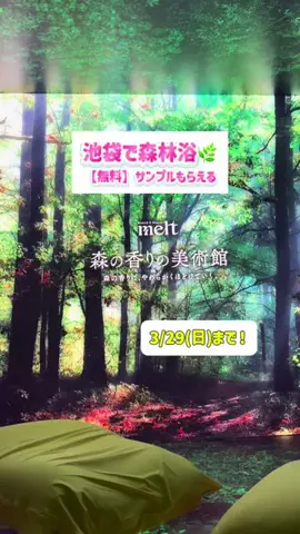 トレンド速報ch | 話題の最新情報を発信のTikTok投稿