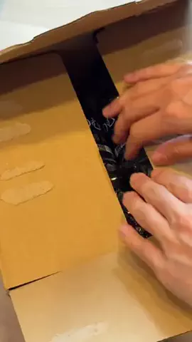 おりのTikTok投稿