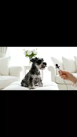 犬猫総合製薬株式会社のTikTok投稿