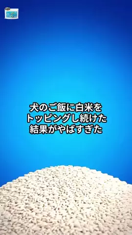 犬猫総合製薬株式会社のTikTok投稿