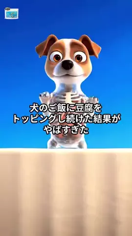 犬猫総合製薬株式会社のTikTok投稿