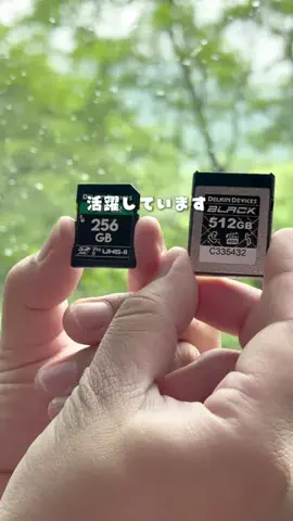 RKPhoto_9/ｱｰﾙｹｰﾌｫﾄﾅｲﾝ📷のTikTok投稿