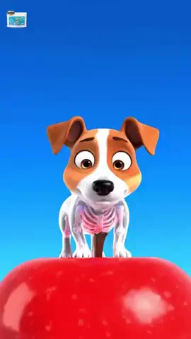 犬猫総合製薬株式会社のTikTok投稿