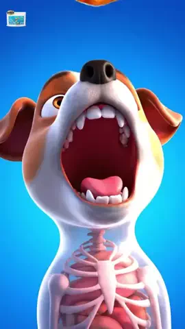 犬猫総合製薬株式会社のTikTok投稿