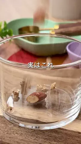 ぷに子🐽のTikTok投稿
