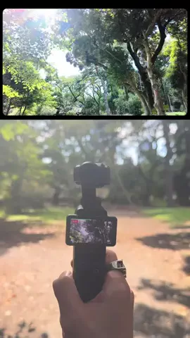 AtsushiのTikTok投稿