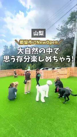 Momoka@山梨の人のTikTok投稿
