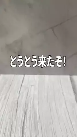 HIROのTikTok投稿