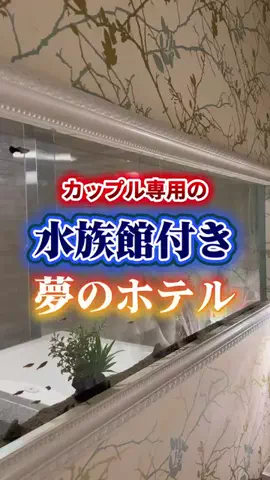 夜のホテル図鑑のTikTok投稿