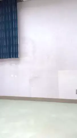 忍者マリシエイのTikTok投稿