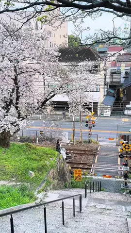tenpaland｜japantrip✈️のTikTok投稿