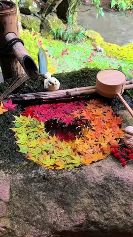 tenpaland｜japantrip✈️のTikTok投稿