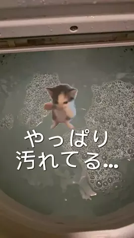 なお🍜のTikTok投稿