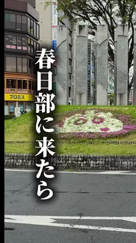 おけい / 埼玉を盛り上げるアラフォーのTikTok投稿