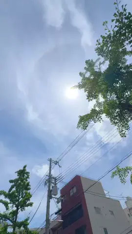 さば | ズボライフのTikTok投稿