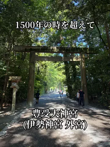シロクマさんのTikTok投稿