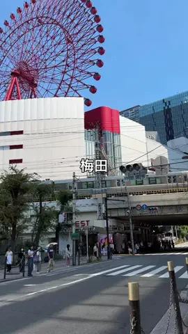 けいんのすけ【プリンと大阪グルメ】のTikTok投稿