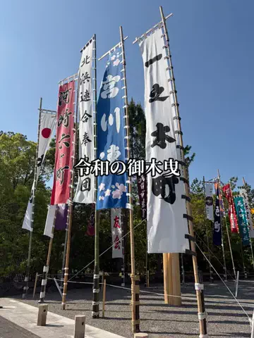 シロクマさんのTikTok投稿