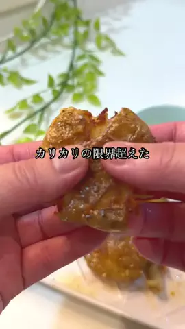 nihonsyu_mamaのTikTok投稿