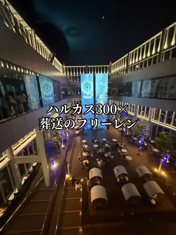 シロクマさんのTikTok投稿