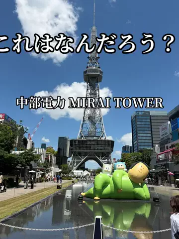 シロクマさんのTikTok投稿
