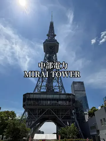 シロクマさんのTikTok投稿