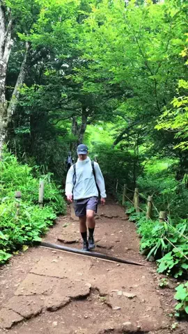 TSY | 365日ランニングで人生変えた人のTikTok投稿