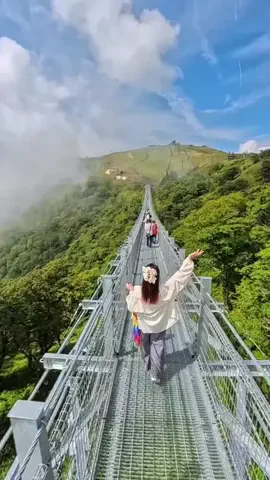 わら旅夫婦のTikTok投稿