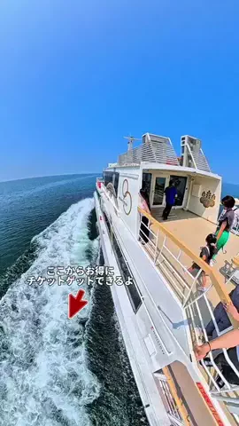 わら旅夫婦のTikTok投稿